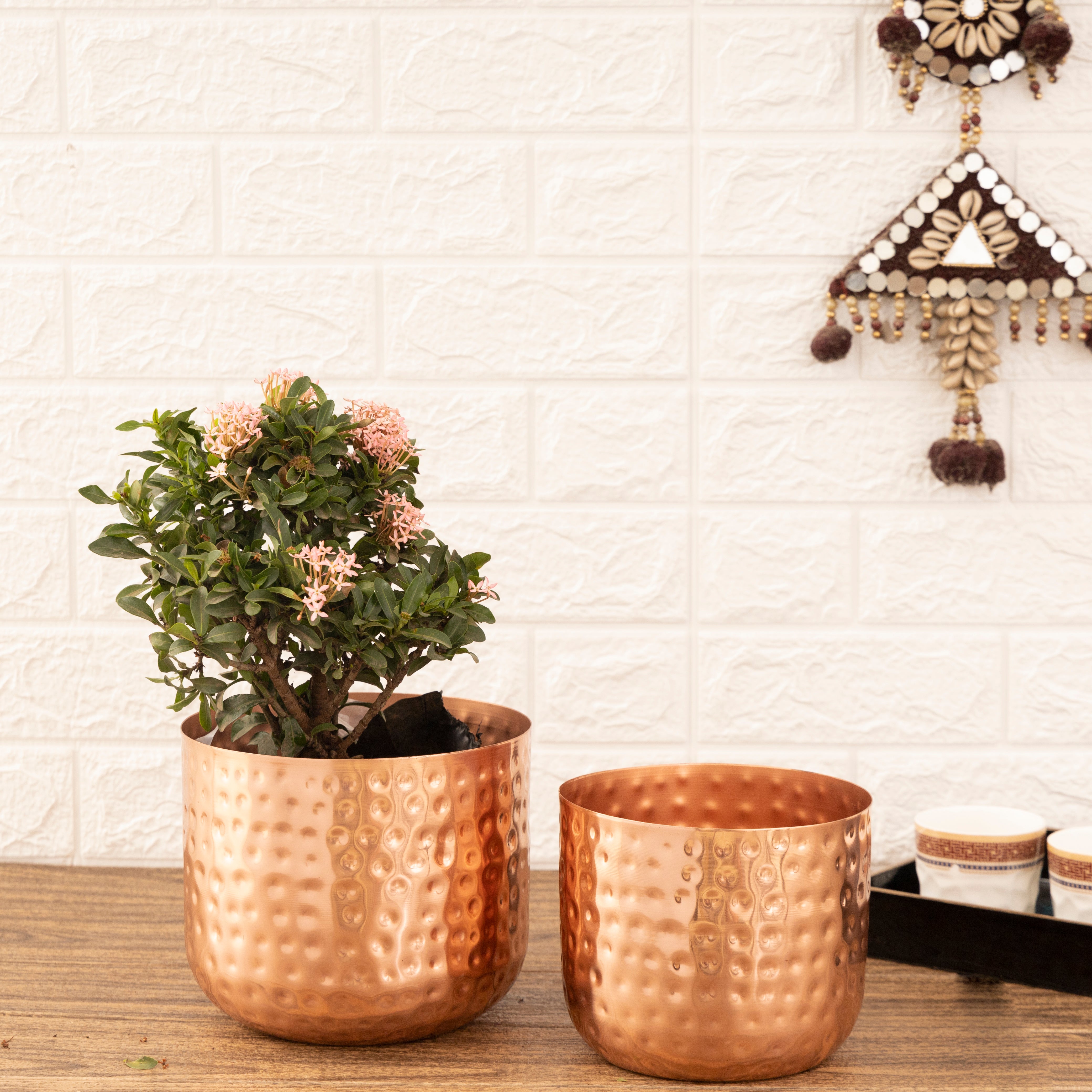 Luxe Rose Gold Hammered Planters